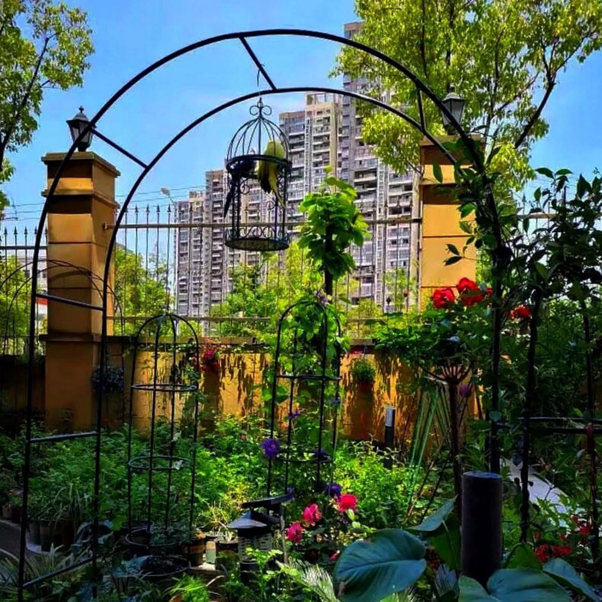 Metalen Rozenboog - Tuinboog Klimplanten - Buiten Decoratie - Stevig Gegalvaniseerd - 2.4 x 2.2 m - Zwart