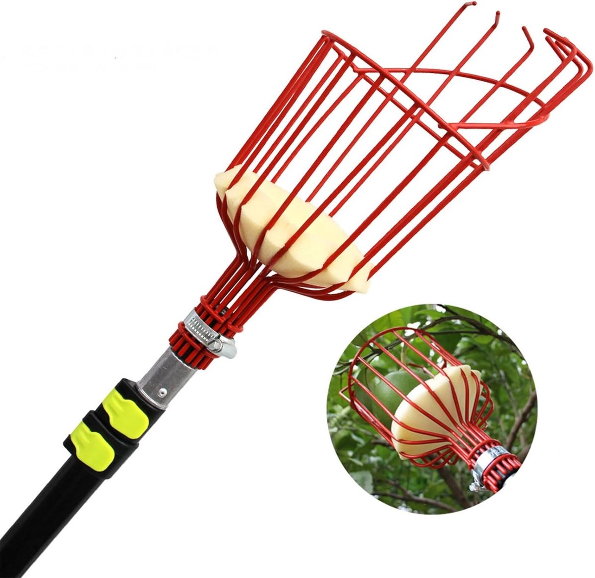 Fruitplukker Telescoop - Fruitverzamelaar mand - Fruit oogsten - Met sponskussen - Tot 3.6 meter - Rood