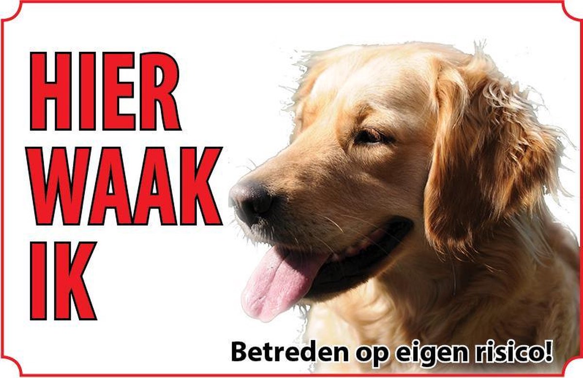 Bord - Hond Golden Retriever