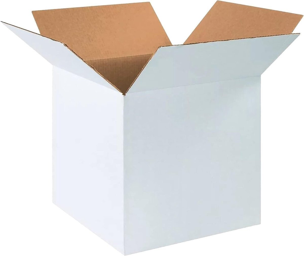 Verzenddozen Set - Opslag Verpakking - Verhuizen Opslag - Duurzaam Golfkarton - 5 Stuks 20cm - Wit