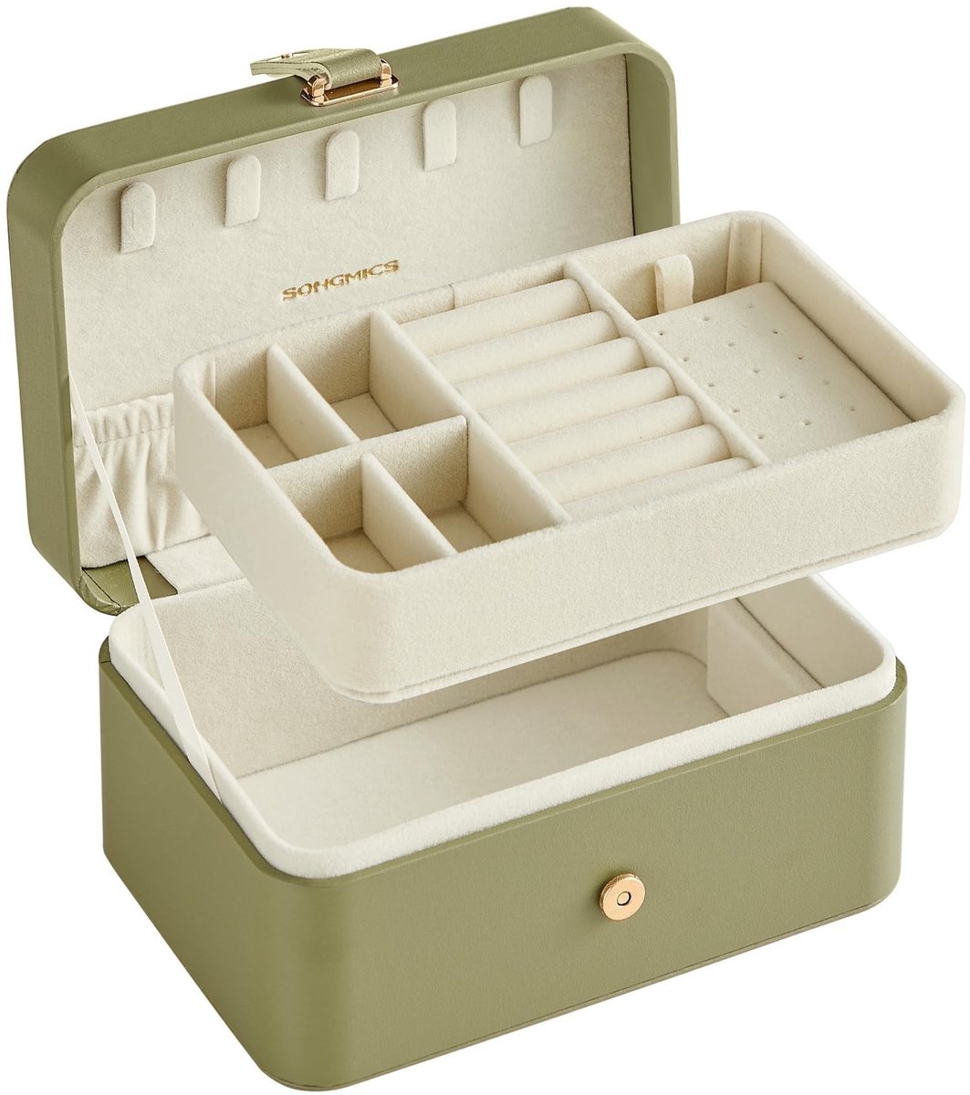 Dailygoods- Sieradenkistje Draagbaar - Sieradendoos Klein - 2 Niveaus - Sieradenopslag - Compact Formaat - Afneembare Verdelers