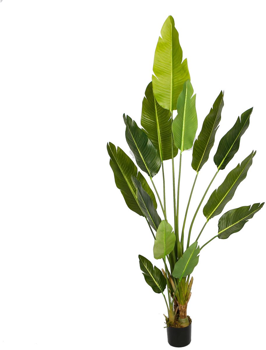 Lykke Kunstplant Paradijsvogel 200cm green