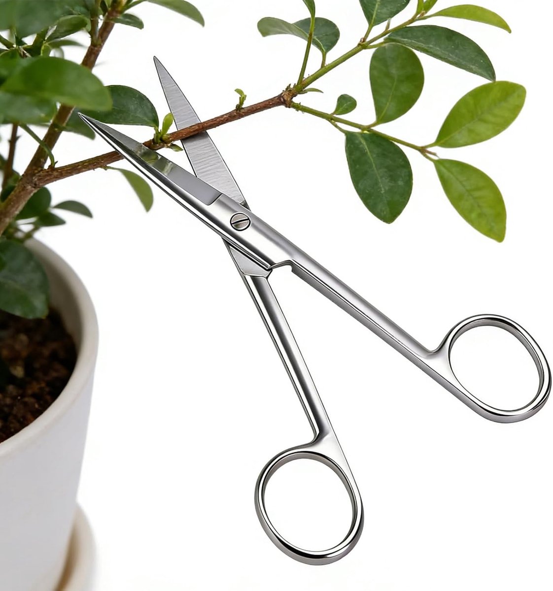 Tuingereedschap Ergonomisch - Snoeischaar Plantenschaar - Tuinonderhoud Snoeien - Japans Roestvrij Staal - 15.7 cm - Zilverkleurig
