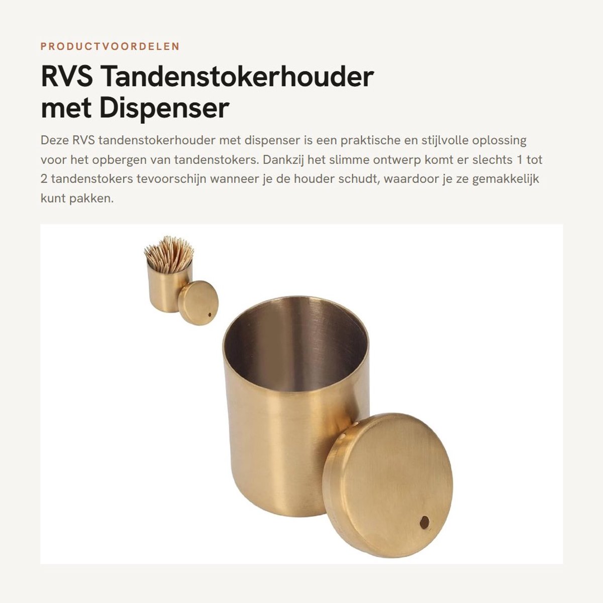 Dailygoods- Tandenstokerhouder Dispenser - Roestvrij Stalen Houder - Tandenstoker Container - Opbergdoos Organizer - Ideaal voor Tandenstokers - Deksel valt niet af - Tandenstokerdoos