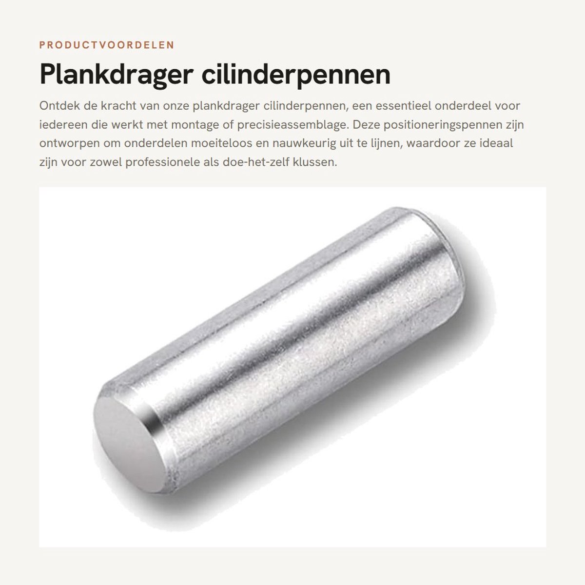 Dailygoods- Plankdrager Roestvrij Staal - Cilinderpen - Positioneringspen - Montage - 5 Stuks - Duurzaam en Corrosiebestendig