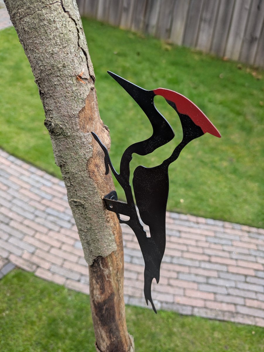 Ornament voor binnen of buiten in de tuin; metalen specht in zwart met rode kuif