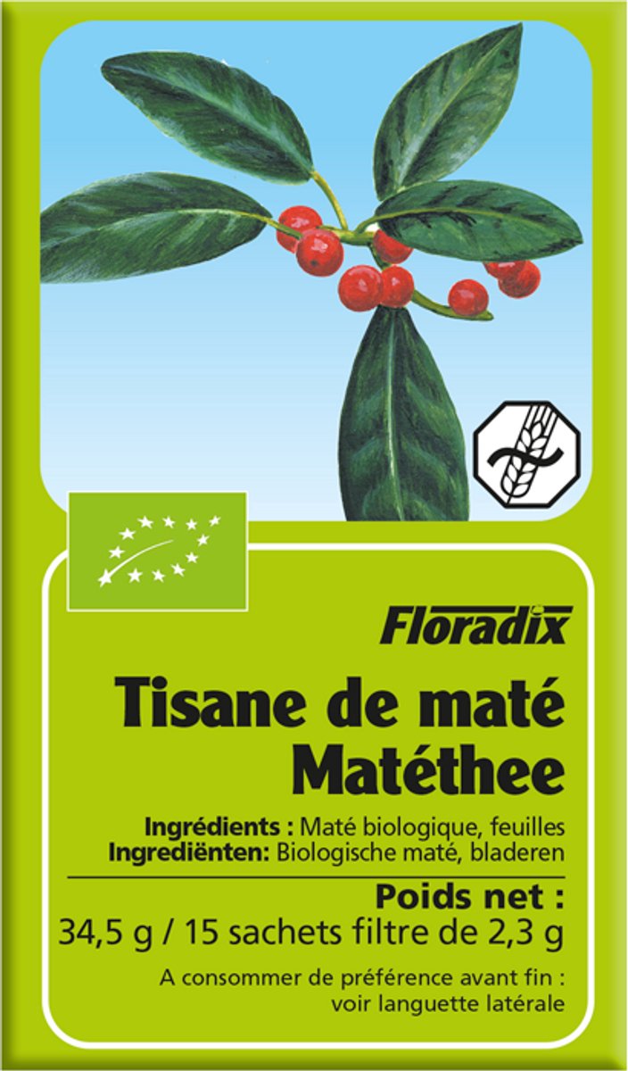 Salus Floradix Biologische Theezakjes Mate - 15 zakjes