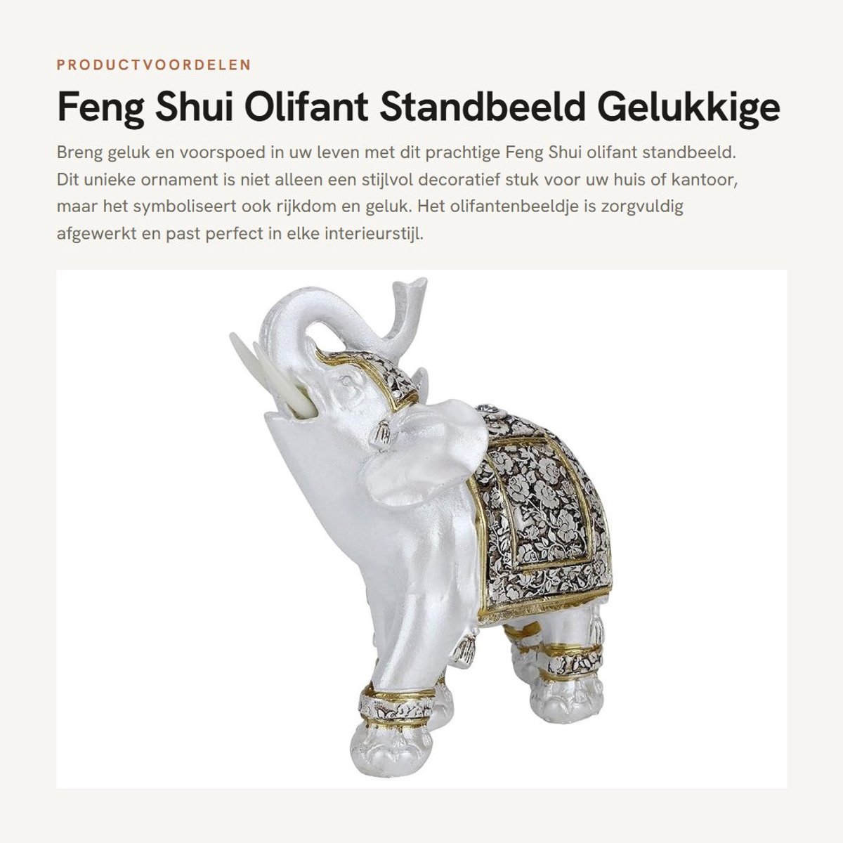 Dailygoods- Olifant Standbeeld Feng Shui - Beeldje Decoratie - Hars Beeldje - Huisdecoratie - Cadeau voor Vrienden - 13,5x6x14 cm