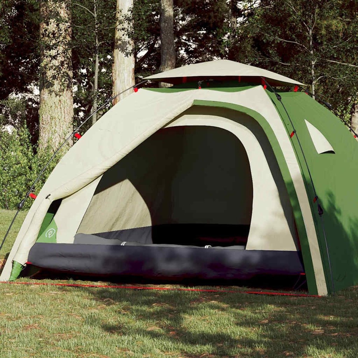 Koepeltent 4 personen - Kampeertent waterdicht - Outdoor avonturen - Snelle opbouw - 326 x 260 cm - Groen