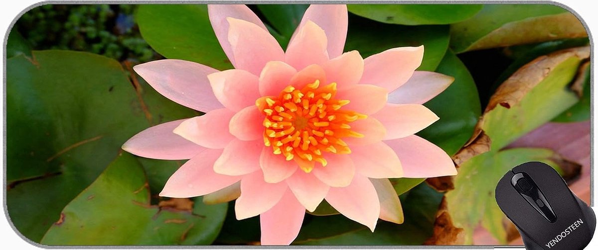 Spirituele Muismat - Bloemen Deskpad - Bureau Organisatie - Waterdicht Ontwerp - 75x30 CM - Roze