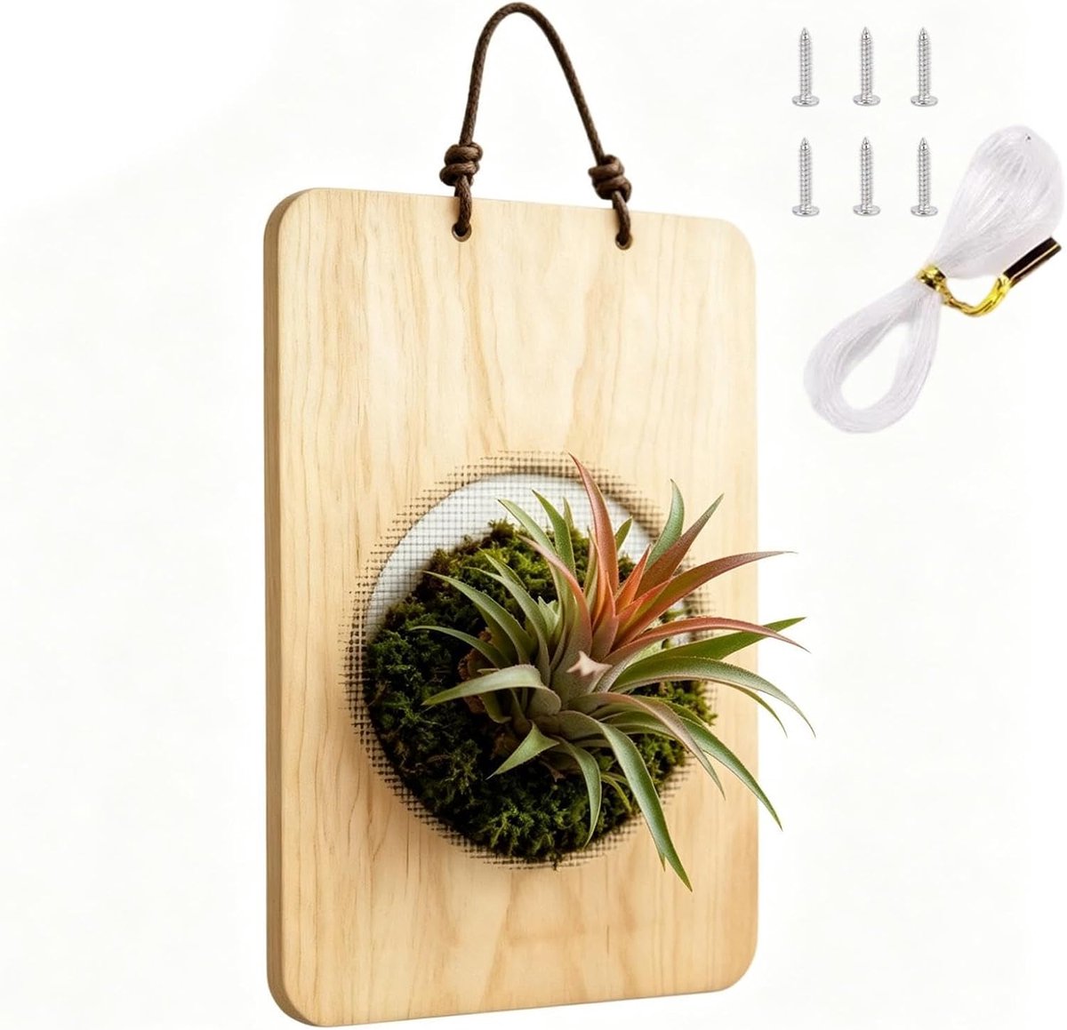 Wandhanger Hout - Plantenrek Muur - Planten Presenteren - Handgemaakt Natuurlijk - 23 x 17 x 3 cm - Natuurlijk