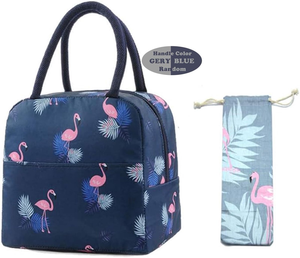 Dailygoods- Lunchtas Isolerend - Koeltas Volwassenen/Kinderen - Robuuste Handgrepen - Groot Voorvak - Afmetingen 22 x 14 x 21 cm