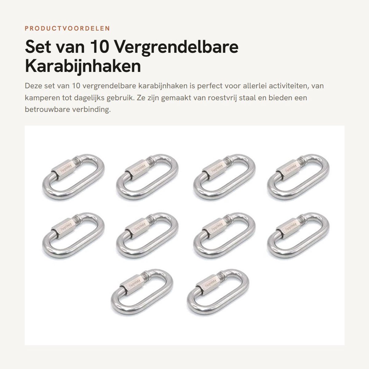 Dailygoods- Karabijnhaak Vergrendeling - 10 Stuks - Roestvrij Staal - Sleutelhanger - Hondenriem - Geschikt voor Kamperen/Wandelen - Haak