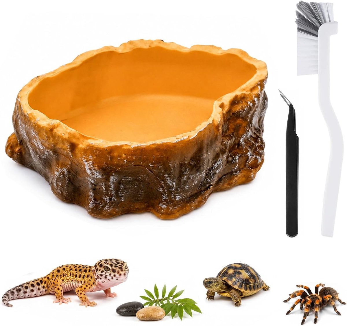 PVC-kommetje voor reptielen met borstel en pincet – 1 kommetje 8×6×2,3 cm + 1 borstel + 1 pincet, voor schildpadden - ShopVlot