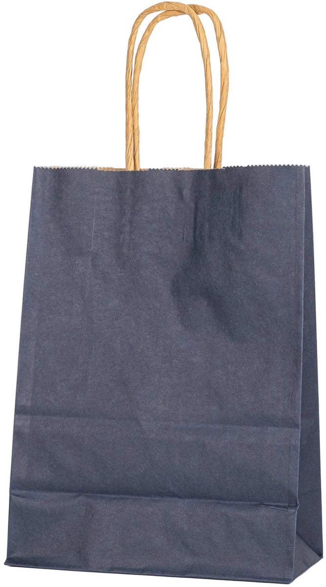 Papieren Draagtas - 60 Stuks -Zwart- 16x22x8cm - Papieren Tasjes - Kraft Tas - Tassen - Cadeau Tas - Hoogwaardig Kraft Papier - Eco-vriendelijk - Ideaal voor Geschenken - Lasentopack