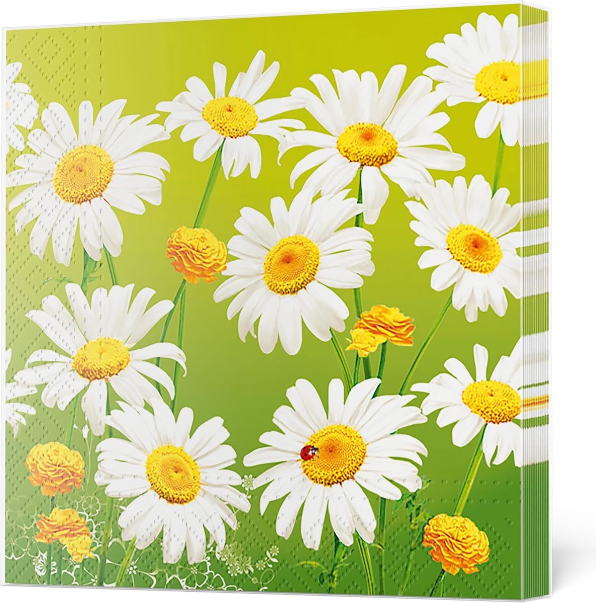 Papieren servetten 33cm x 33cm - 3-laags - mooie madeliefjes op groen - perfect voor decoupage - ShopVlot