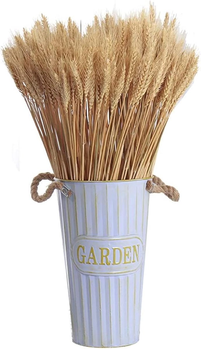 100 Pieces Dried Wheat Dried Wheat Flowers for Wedding Centers Home Balcony Party Table Vase Christmas Decoration 40 - ShopVlot