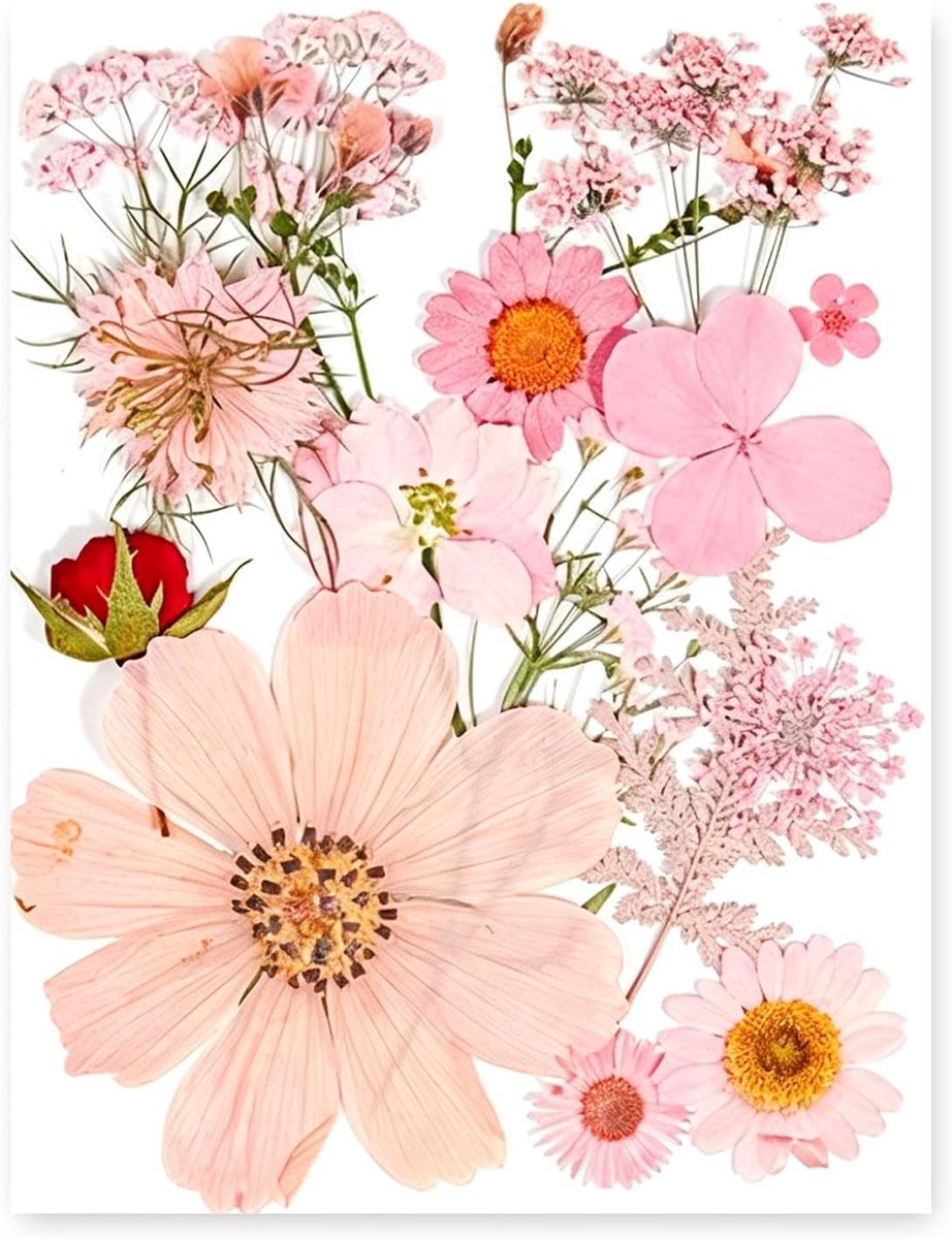 Geperste droogbloemen set 15 stuks - natuurlijke echte bloemen in roze - ideaal voor DIY sieraden en resin kunst - ShopVlot