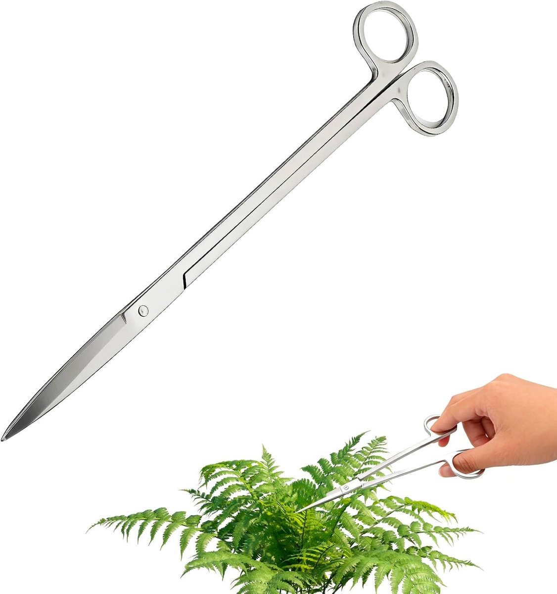 Hoek aquariumschaar van roestvrij staal, 25 cm - Perfect voor aquascaping, plantenonderhoud en landschapsbouw in aquaria