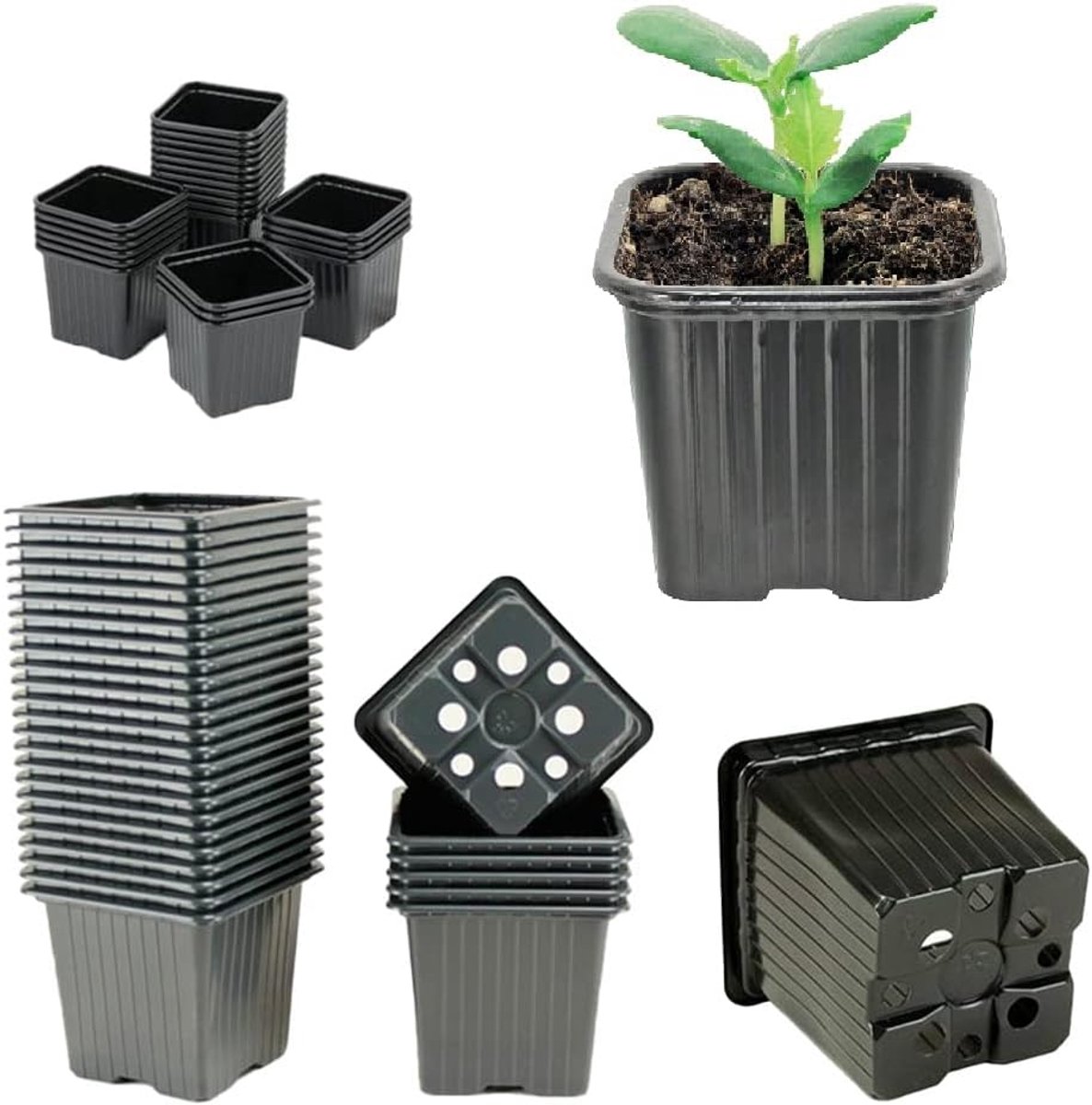 HYDROPLANET Seed Pots Available in 3 Sizes, 7 x 7, 8 x 8, 9 x 9 cm, Made in France, 24, 50, 100 or 1000 Pieces - ShopVlot