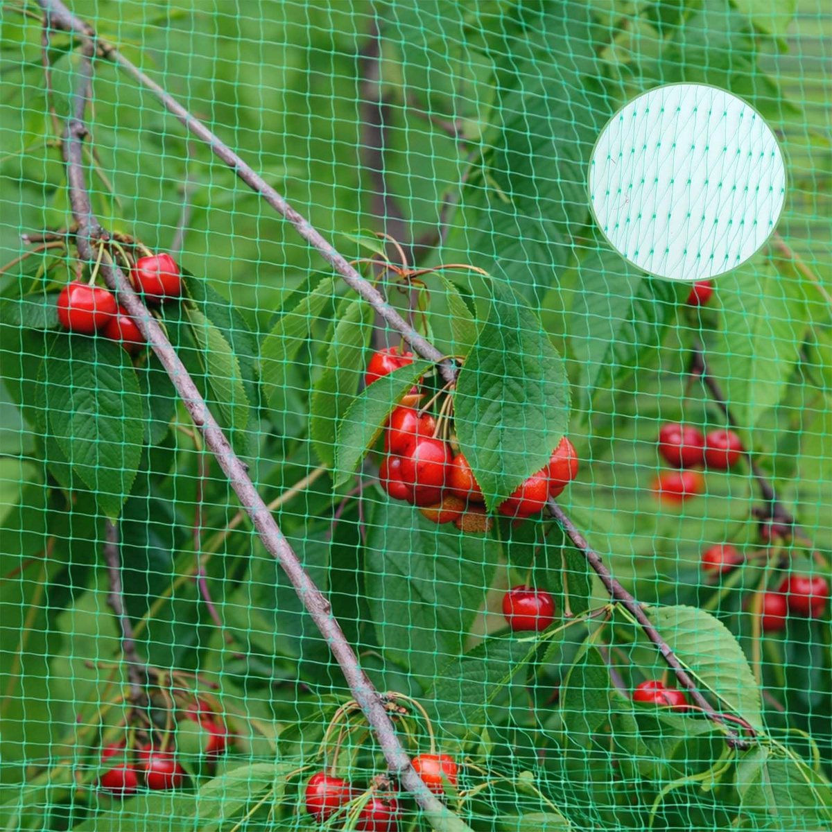 Vogelbeschermingsnet 6 x 10 m - Groen - Duivennet - Bescherming voor planten en fruit - ShopVlot