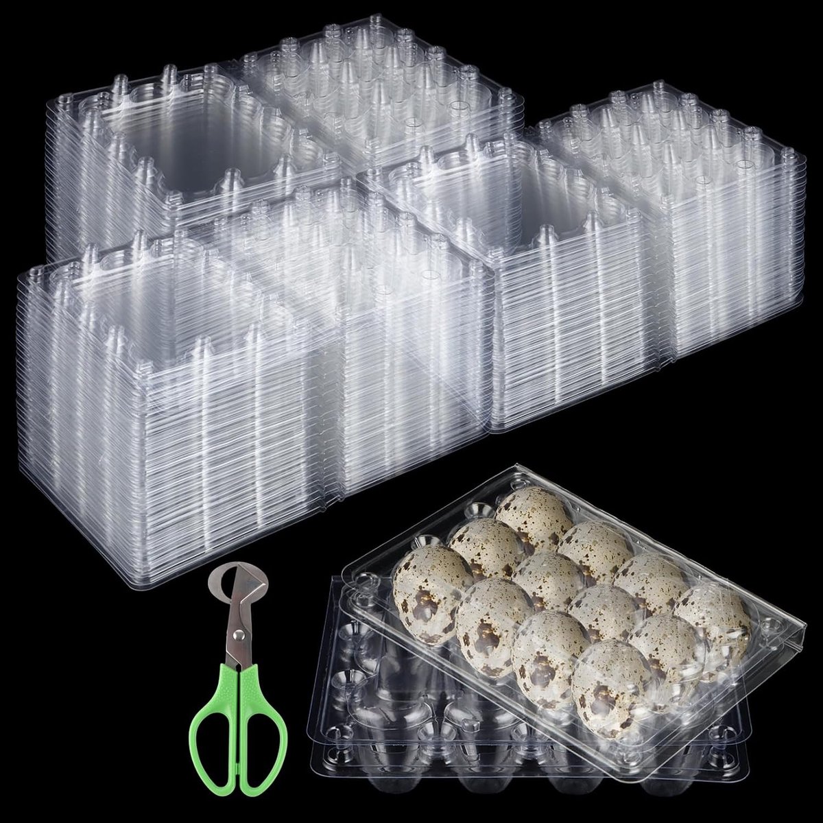 Kwartel eierdozen 150 stuks - 12 gaten - transparant - ideaal voor opslag - ShopVlot