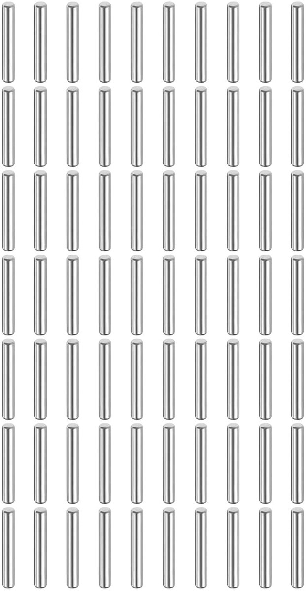80 stuks 3 mm x 20 mm plugpennen 316L roestvrij staal cilindrische pluggen plankhouders pin stang bevestigingselementen metalen plankpennen zilverkleurig