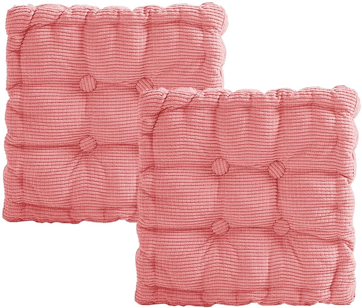 Omgoods - Set van 2 Dikke Stoelkussens 40 x 40 cm voor Tuin en Binnen