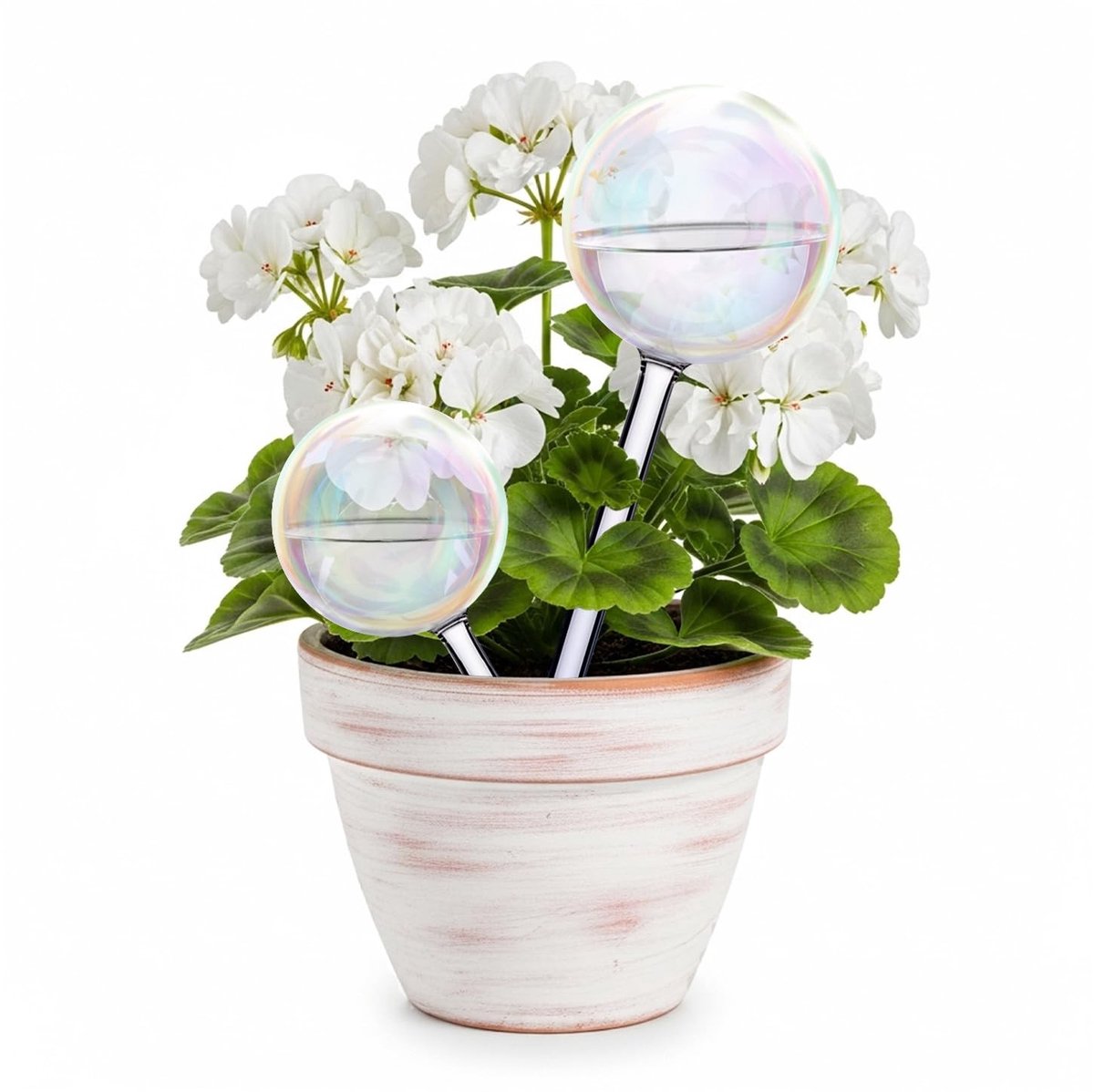 Omgoods - 2 Stuks Iriserende Glas Waterballen - Automatisch Bewateringssysteem