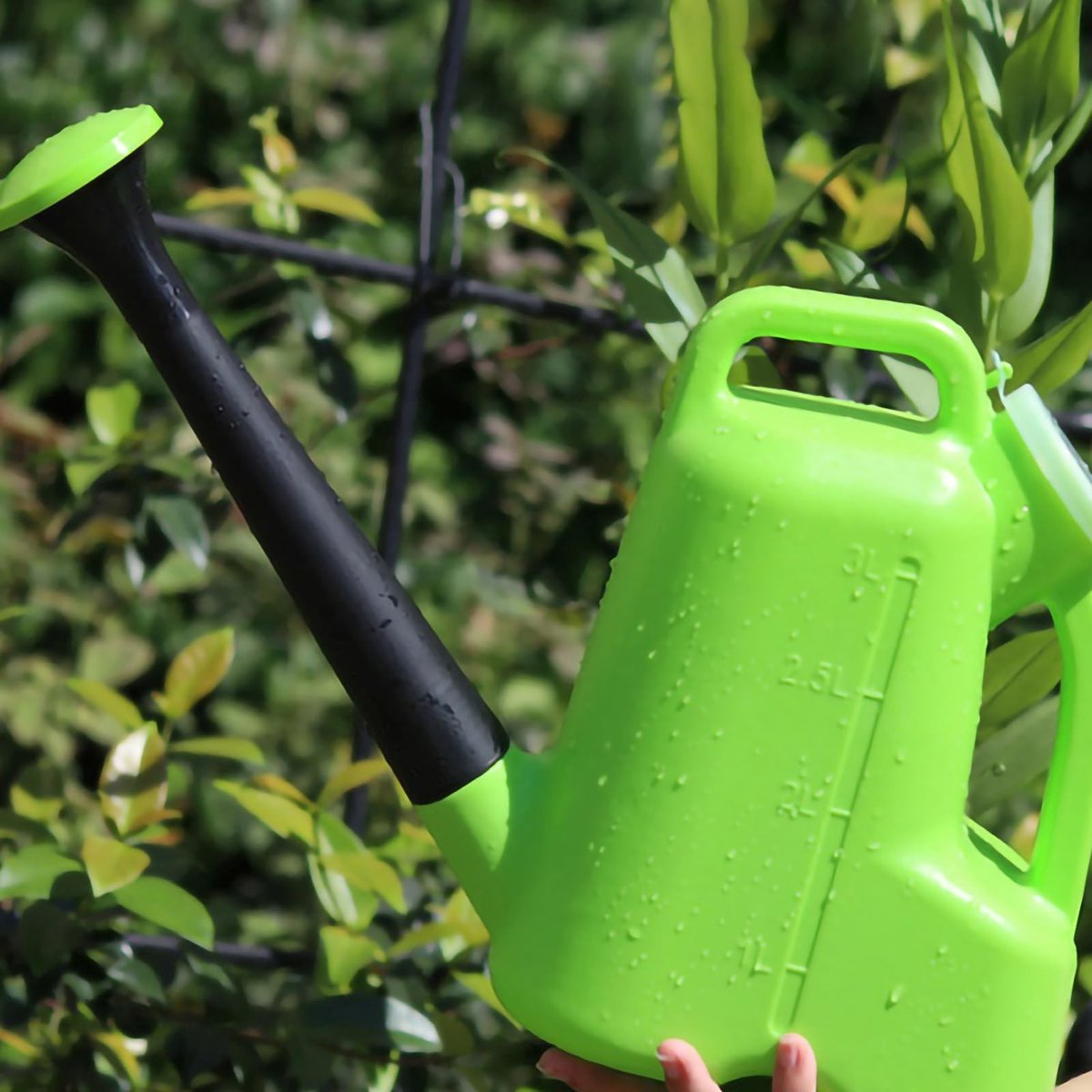 Omgoods - 3L Gieter met Spuitmond voor Binnen- en Buitenplanten
