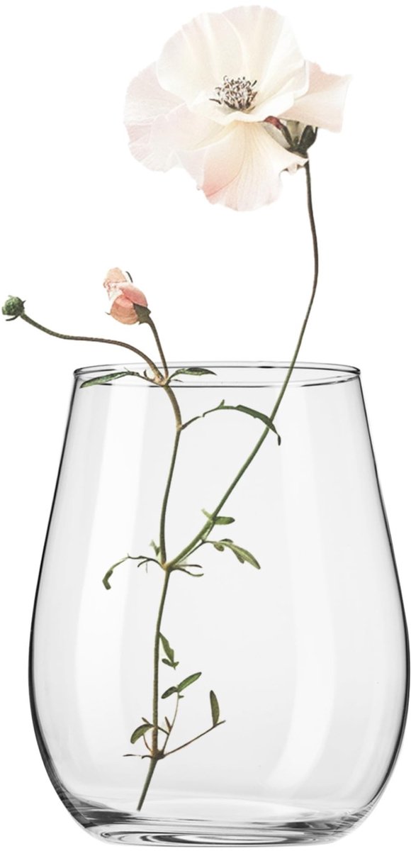 Omgoods - Glazen Vaas voor Bloemen 22cm van Kristalglas met Minimalistisch Ontwerp