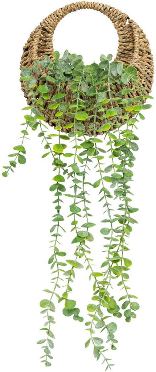 Hangplant ZEA