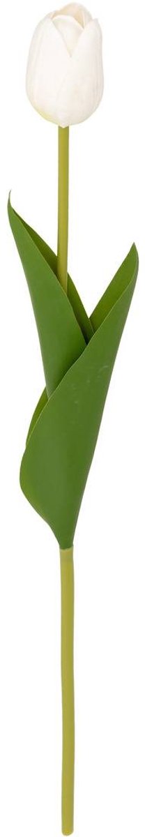 Kunsttulp MARTINE