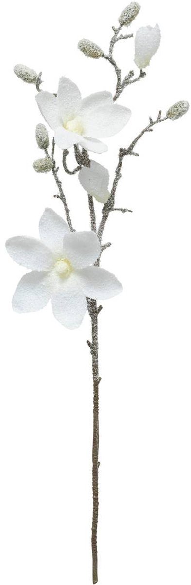 Branche Magnolia blanc H66cm