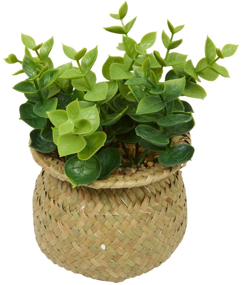 Kunstplant JIL