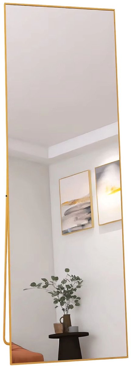 Vloerspiegel 162 X 53 Cm Goud - met Metalen Frame