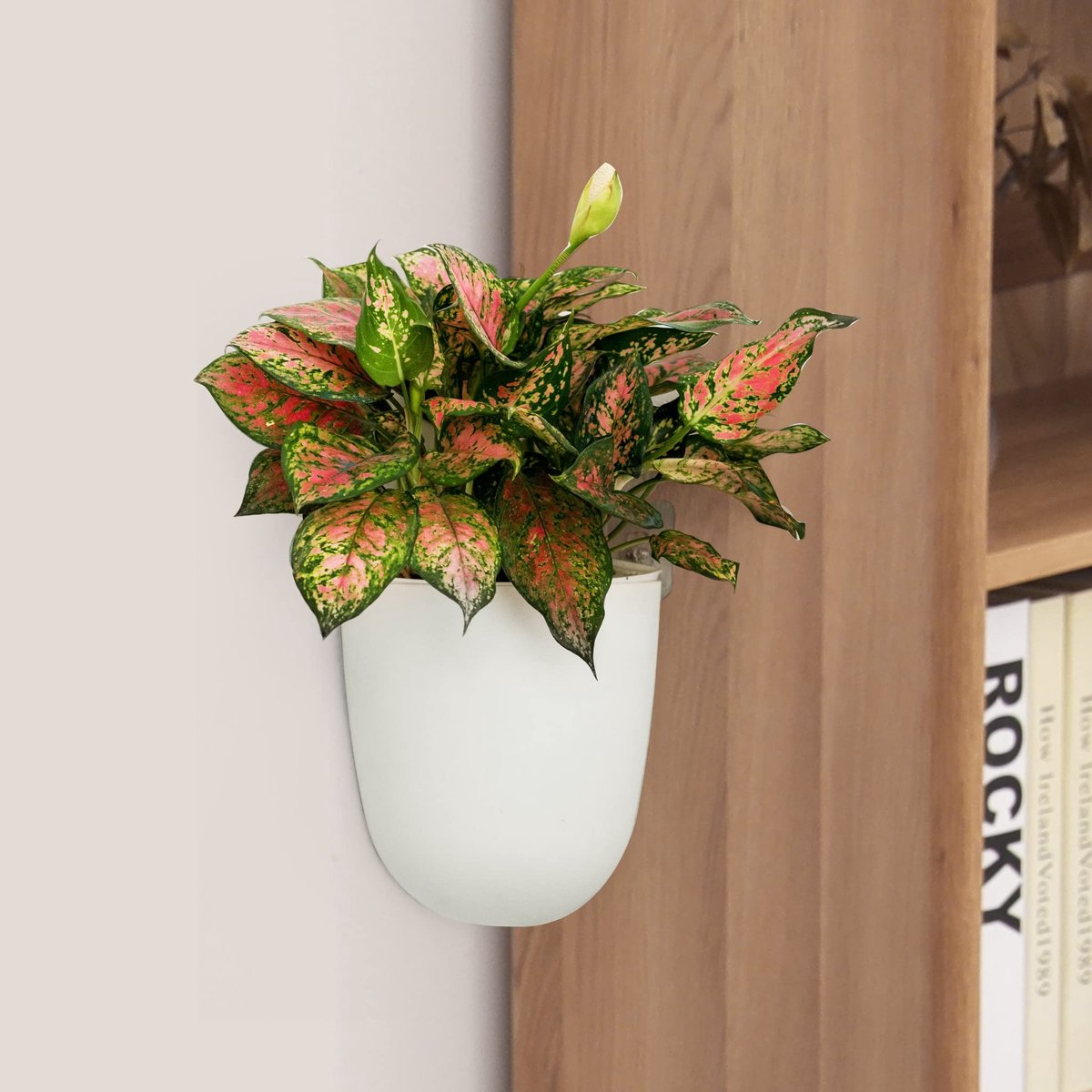 Omgoods - Set van 2 Hoek Wandplantenhouders met Zelfwaterfunctie