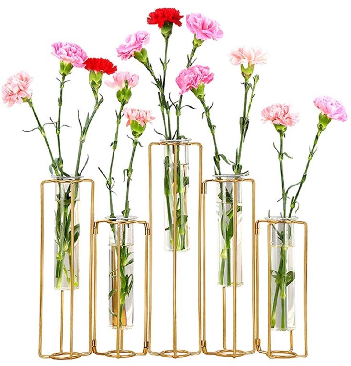 Omgoods - Testbuis Bloemenvase met 5 Tubes in Gouden Frame