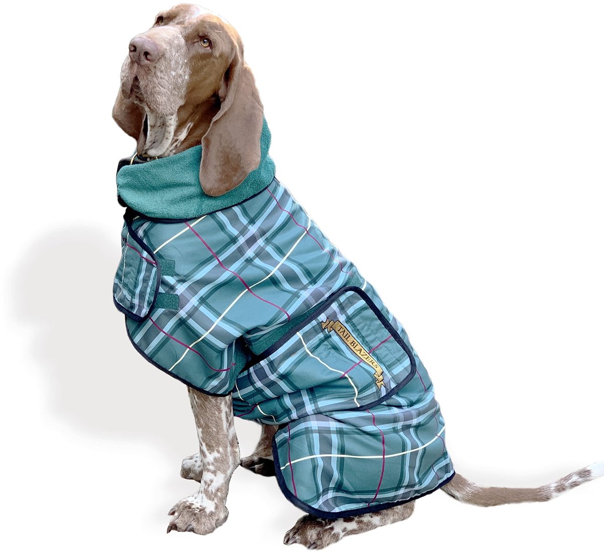 Omgoods - Hondendroogjas Dubbellaags Microvezel XXXL Groen met Print