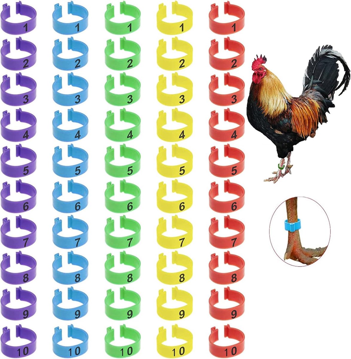 YANGWEN Chicken Foot Rings, 50pcs Numbered Clip on Paw Rings, Multiple Colors Chicken Identification Leg Straps - ShopVlot