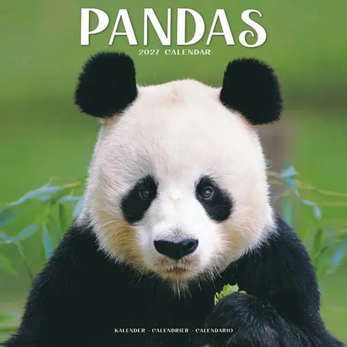 Panda Kalender 2027