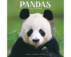 Panda Kalender 2027