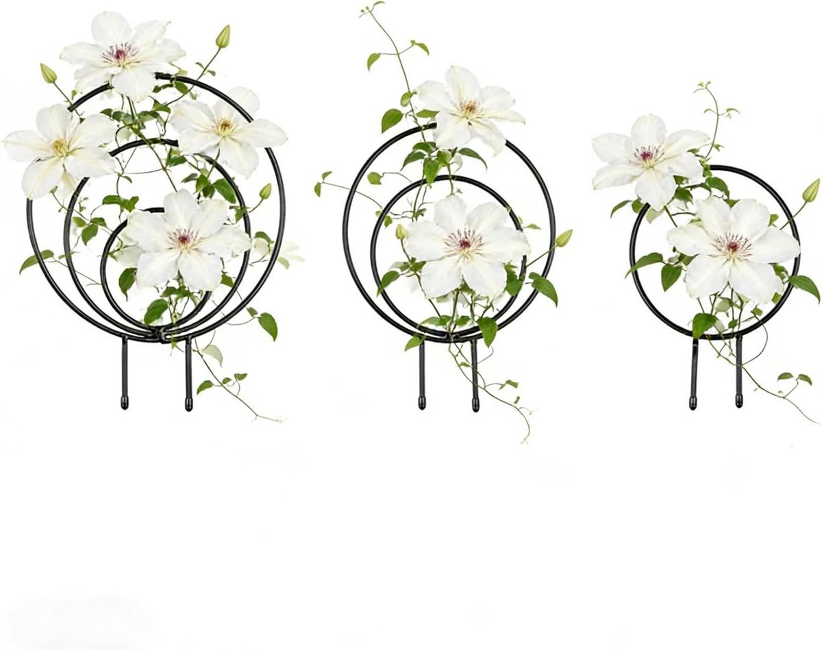 Klimrek voor Planten - Klimsteun Decoratie - Verticale Plantengroei - Hartvormige Omtrek - Set van 3 - Mat Zwart