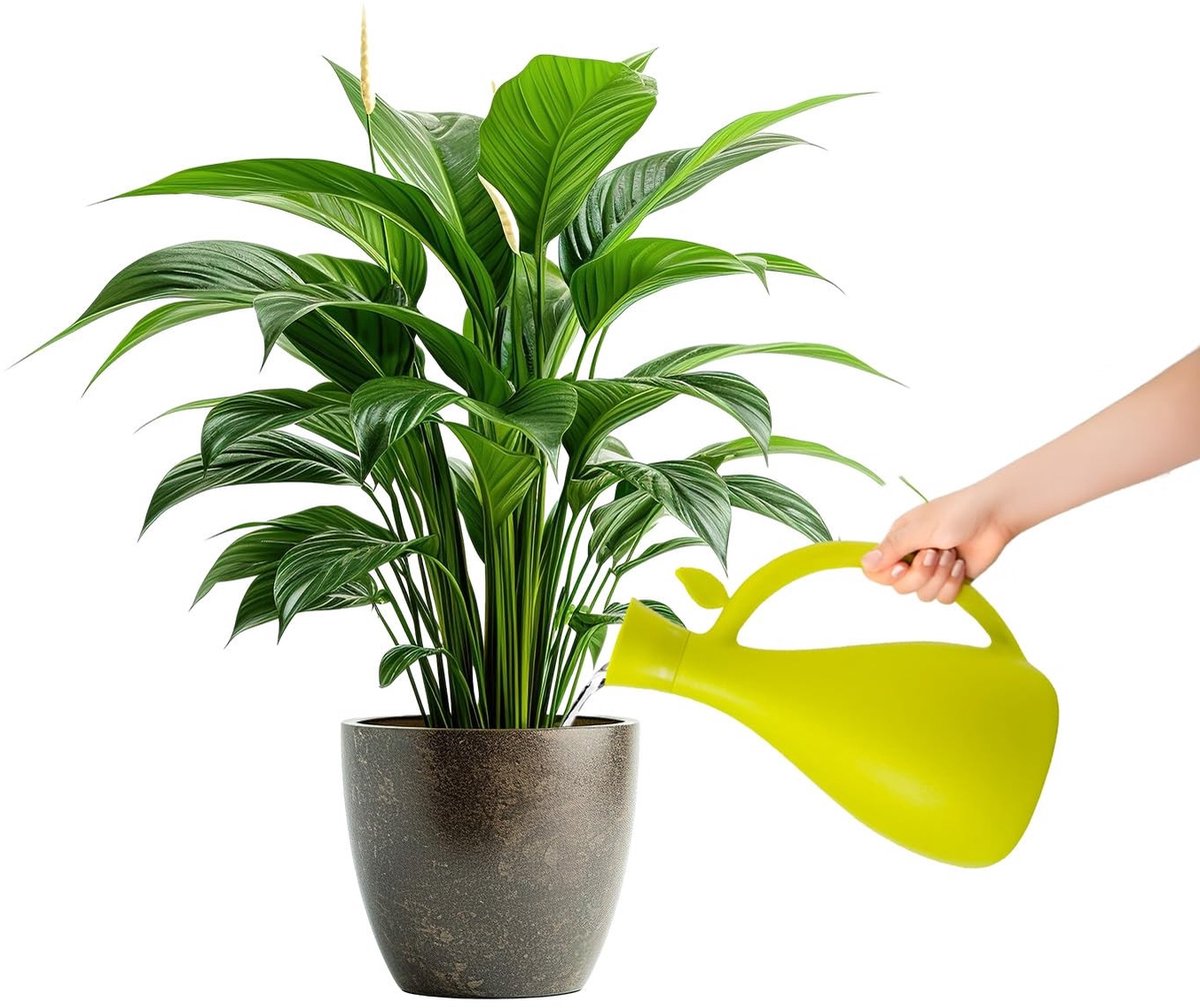 Omgoods - Gieter van Robuust Groen Plastic - Ideaal voor Tuin en Balkon met 1,6 Liter Capaciteit