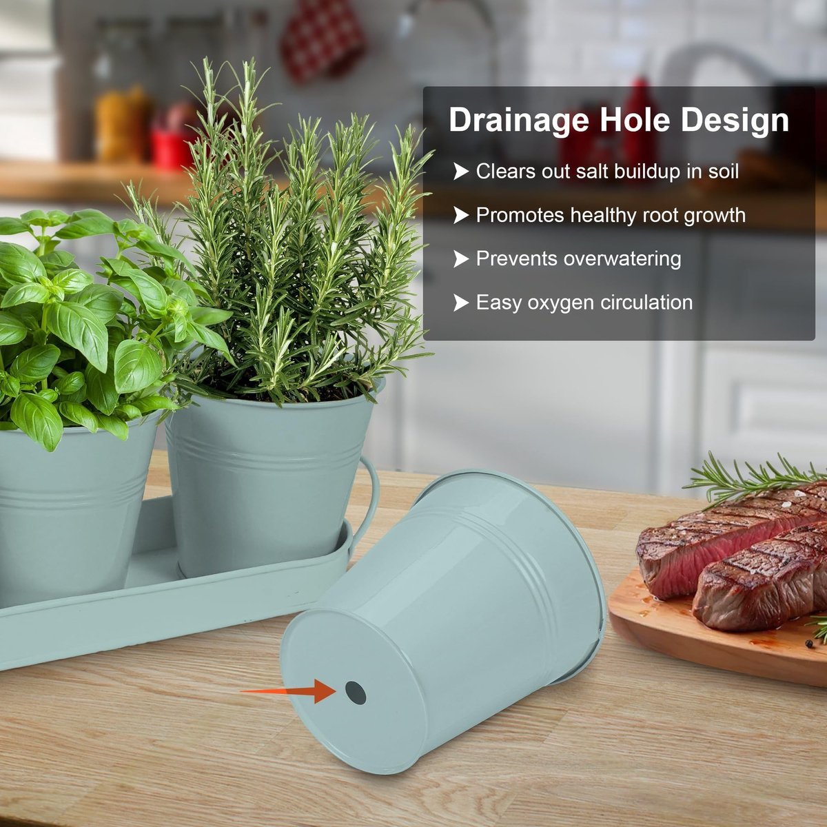 Omgoods - Indoor Kruiden Tuin Set met 6 Metalen Potten en 2 Onderzetters