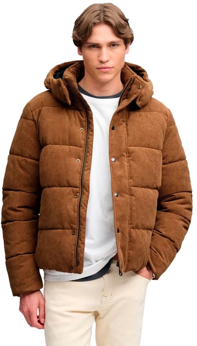 Superdry Premium Hooded Cord Puffer Jas Heren Gewatteerde jassen Bruin
