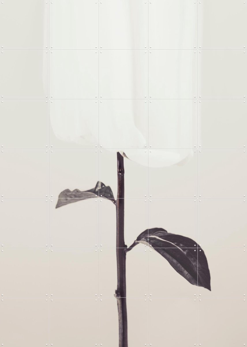 IXXI Whispered Elegance, 1x Studio II & Various - 100 x 140 cm - Gratis ophangtool - Grote wanddecoratie en posters - Fotografie, Minimalisme