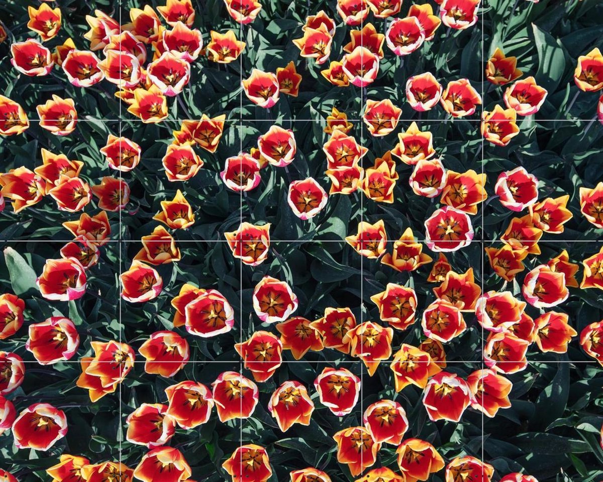 IXXI Floral Symphony, Claire Droppert - 100 x 80 cm - Gratis ophangtool - Grote wanddecoratie en posters - Fotografie, Gang, Woonkamer, Trap