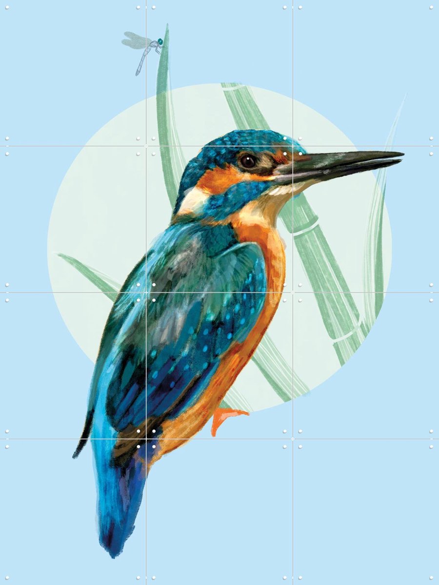 IXXI Ijsvogel, Esther Sepers - 60 x 80 cm - Gratis ophangtool - Grote wanddecoratie en posters - Kleurrijk, Illustraties, Aquarel, Speels, Realisme