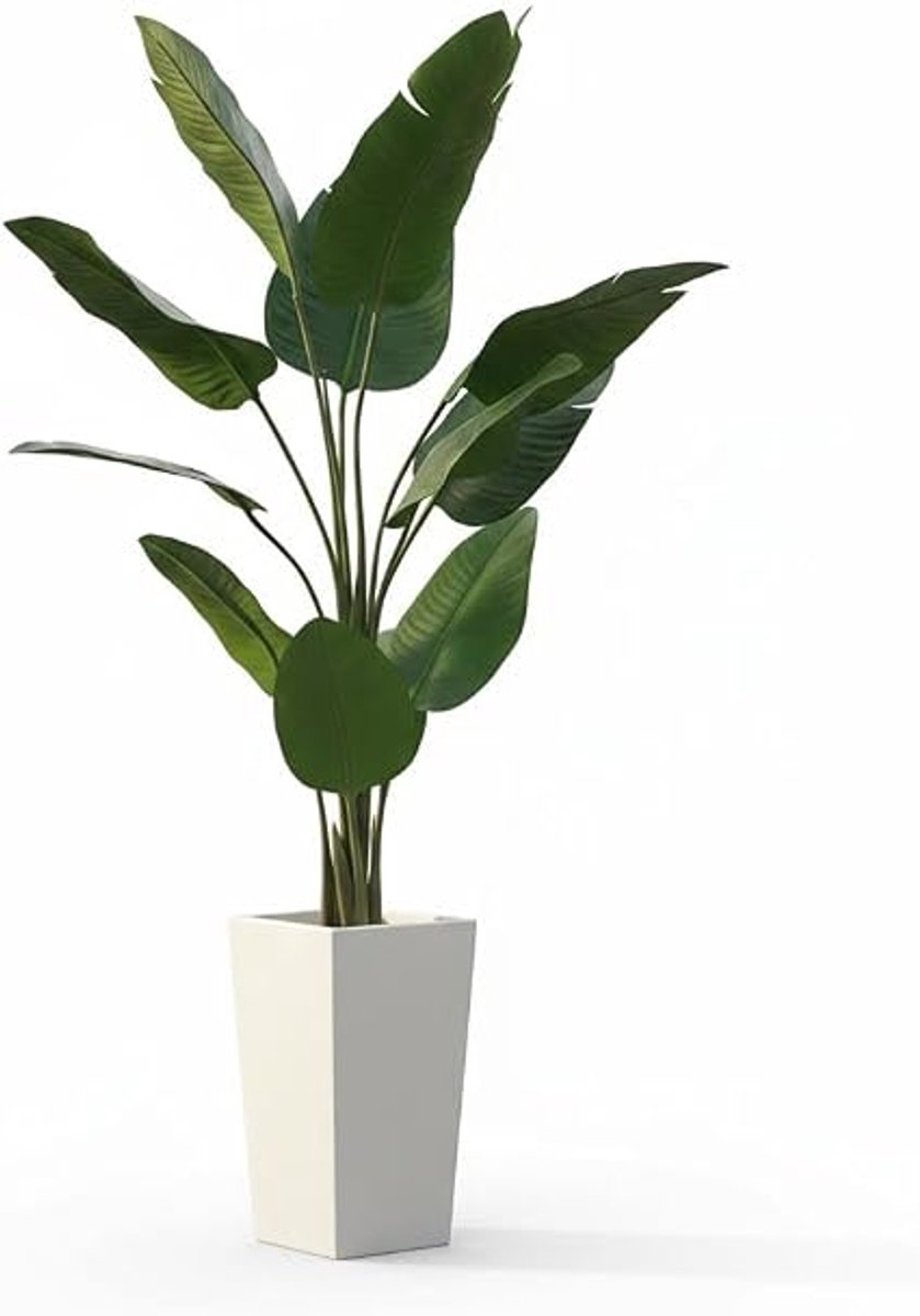 Triumpunpre - Nep Paradijsvogelplant 5FT / 150cm - Stabiele Cementbasis - Vormgeefbare Exotische Plant
